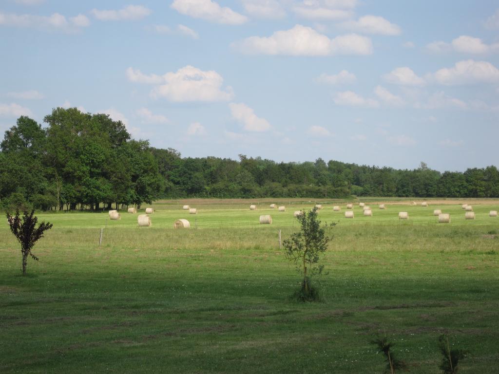 La Petite Grange Villa Lorignac Rom bilde