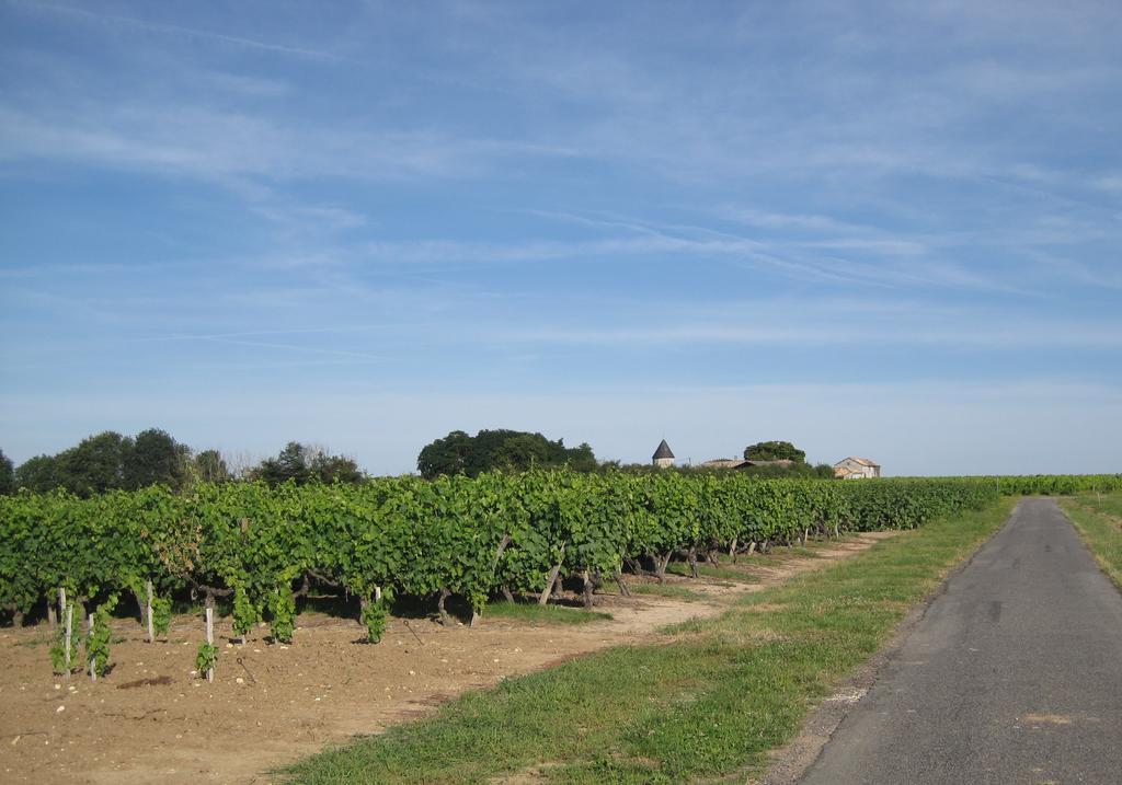 La Petite Grange Villa Lorignac Eksteriør bilde